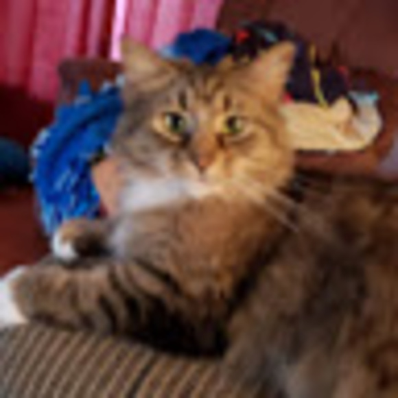 Meet your Posher, Katie - Picture 1 of 1